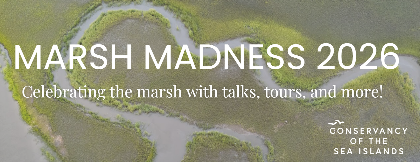 Marsh Madness 2026